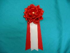 胸につける花リボンバラ・記章・徽章（特大・花径１４ｃｍ）赤/選挙・講演会等で胸につける花