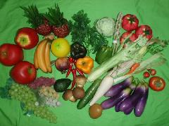 食品サンプル在庫処分果物＆野菜セット（Ｄ）２９種５０個セット
